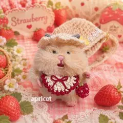 はむにぎり ぬい服 かぎ針編み イチゴ