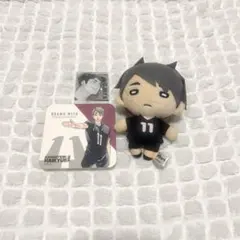 ハイキュー!! 宮治　にとたんぬいぐるみ　アクリルバッジ　アートコースター