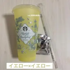 2026ミステリーカラーチェンジングリユーザブルコールドカップ＋ベアリスタきいろ