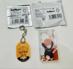 ハイキュー!! 日向翔陽 キーチェーン