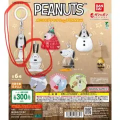 PEANUTS めじるしアクセサリー　FUNNYver.