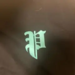 PHATRNK ブラウン Tシャツ グラフィック