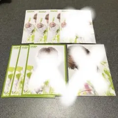 LIL (W)INK 百田隼麻