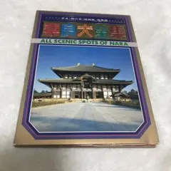 Item thumbnail for item ec228fd2-060e-4bc5-8ae0-aea9366469eb