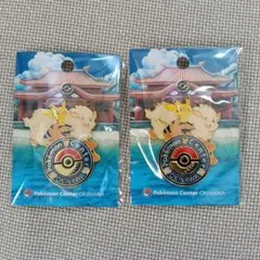 ポケモンセンターオキナワ　ロゴピンズ　ピカチュウ　ウインディ　2個セットのサムネイル