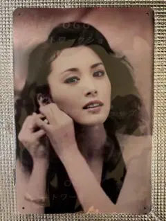 【限定価格】新品未開封　松坂慶子　オマージュブリキ看板③