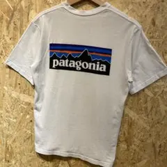 Patagonia カットソー P-6ロゴ アメカジ ストリート SURF - メルカリ