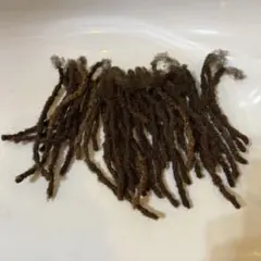 Item thumbnail for item 892dff13-98fa-412f-9c0a-2ab6566c23c9