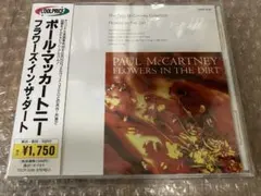 美品　クールプライス　帯付き　フラワーズインザダート