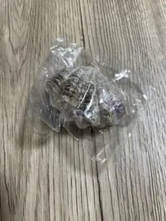 ざ！貝マスコット　とれたてシャコガイ　ガチャ　リアル貝　食品サンプル風