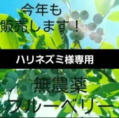 ハリネズミ様専用