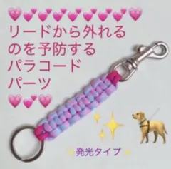 リードから外れるのを予防するパラコードパーツ 発光♪ブルー - メルカリ