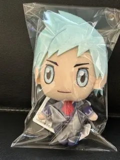 2025年最新】ポケモン ダイゴ ぬいぐるみの人気アイテム - メルカリ