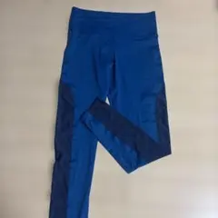 트라이엄프 로지 요가 팬츠 블루 메시 스위치