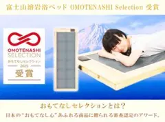 ◯梅研本舗 岩盤浴ベッド 定価268,000円 高級宿導入モデル ◯梅研本舗 岩盤浴ベッド 定価268,000円 高級宿導入モデル - メルカリ