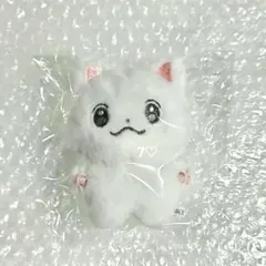 TOMCORN ぬいぐるみチャーム - メルカリ
