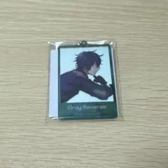 エリオス MTG アクキー アクリルキーホルダー グレイ