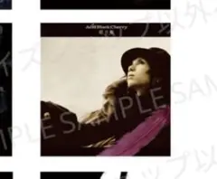 たかちゃん様専用