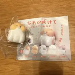 だれか助けてかどっこハムスター ゴールデン
