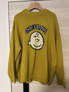 【気まぐれタイムセール】FREAK’S STORE チャーリブラウン　ニット　Lのサムネイル