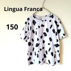 Lingua Franca 牛柄 Tシャツ　白　黒　 150cm