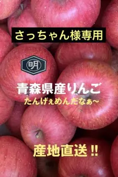 青森県産りんご【サンふじ】195家庭用3kg 10〜12個入　さっちゃん様専用