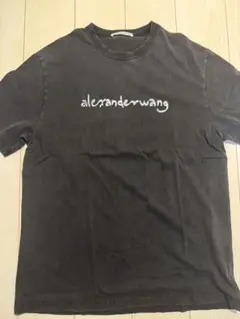 アレキサンダーワン【美品】ウォッシュ加工 半袖Tシャツ ショート丈