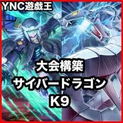 大会優勝構築 VSK9デッキ ヨクル ラゼン マッドラヴ ホーリースー
