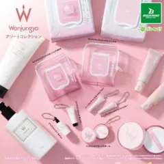 ウォンジョンヨのカプセルトイ モイストアップレディスキンパック DM N、N2点