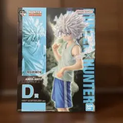 HUNTER x HUNTER キルア MASTERLISE D