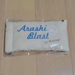 【※訳あり※】嵐 Arashi Blast in Miyagi メガネケース