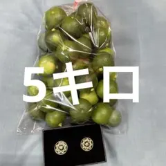 k*a様 ハウススダチ　家庭用　5キロ 入札式 ハウススダチ 家庭用 5キロ 落札者様購入至らず即発送になります