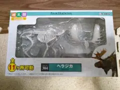 リーメント ポーズスケルトン ヘラジカ