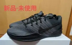 【値下げ】Nike Sabrina 3 By You (30.5cm)