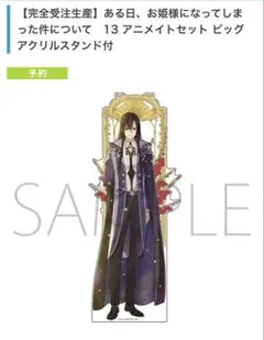 【アニメイトアクスタ】 ある日、お姫様になってしまった件について 13