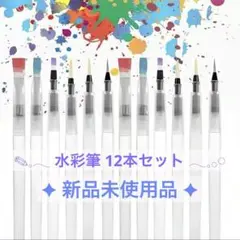 ウォーターブラシ 水彩筆 12本セット 絵の具 水彩色鉛筆 リキッド アート