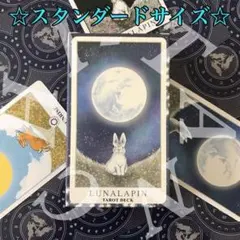 Item thumbnail for item 1bccdeb9-0a83-4cf0-8c77-744b90848e1e