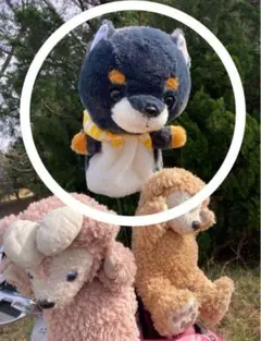 Item thumbnail for item c0232331-f892-4480-920b-831107970568