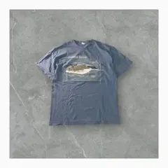 DELTA ProWeght カーニバルブリーズクルージングTシャツくすみブルー