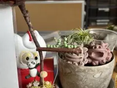 ご確認用