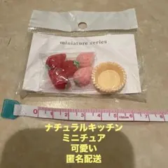 Item thumbnail for item 63545f07-de9c-4d70-aa6f-3acd57a54dd4