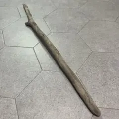 流木 約59cm 細長い形状