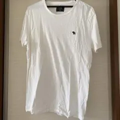 Abercrombie & Fitch ホワイト Tシャツ M