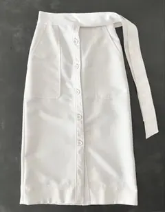 DRESSTERIOR ドレステリア　タイトスカート Iライン ストレートのサムネイル
