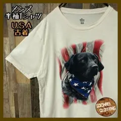 アニマル 犬 ベージュ M プリント 動物 メンズ USA古着 半袖 Tシャツ