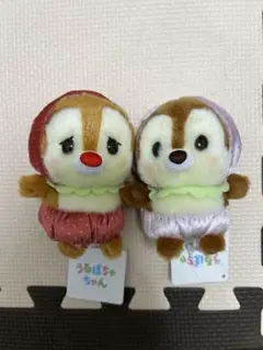 m84574801656_1.jpg?1770723714