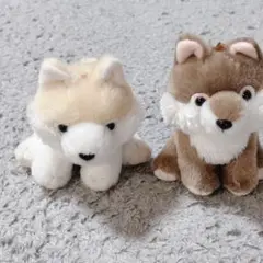 もふっと オオカミ カムちゃん ( ツンドラオオカミ ぬいぐるみ ) もふっと オオカミ カムちゃん ( ツンドラオオカミ ぬいぐるみ