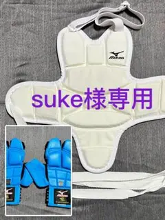 空手防具 MIZUNO 拳サポーター 赤青リバーシブル Ｌサイズ