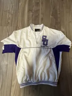 Item thumbnail for item a4abc717-176b-41ea-95f9-1219148402e8