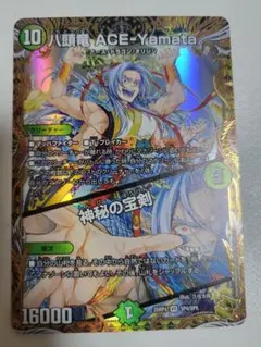 八頭竜ACE-Yamata 金トレジャー